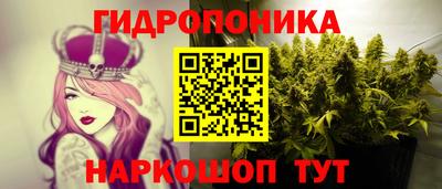 PSILOCYBIN Среднеуральск