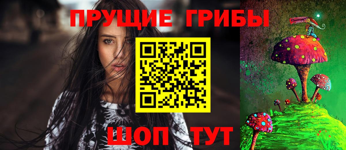 Отрадное  купить наркоту  Вход с VPN  Псилоцибиновые грибы Psilocybe 